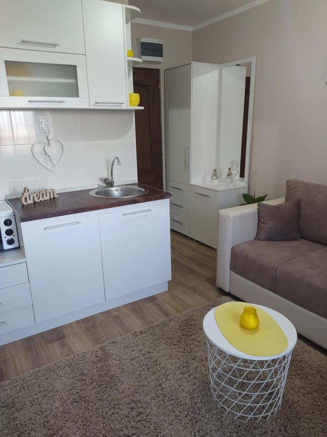 Vila Jezero Bajina Basta Exteriér fotografie